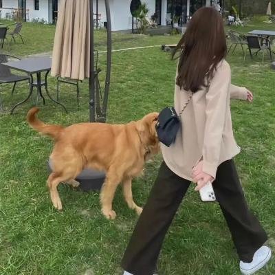扫兴者第三季
